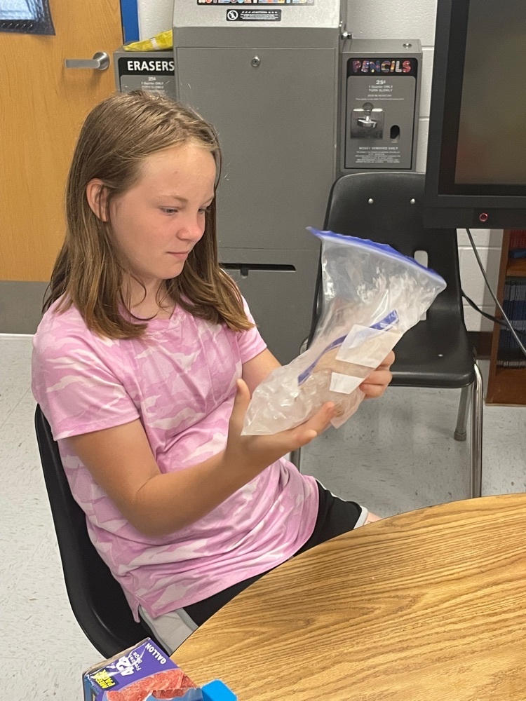 The beginning of STEM Ice Cream in a bag. 